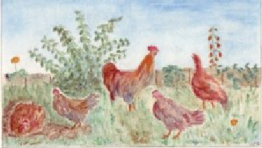 hühneraqux hühneraqux